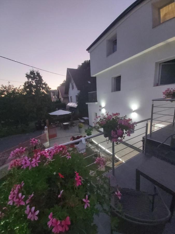 Rooms Panda Maribor Zewnętrze zdjęcie